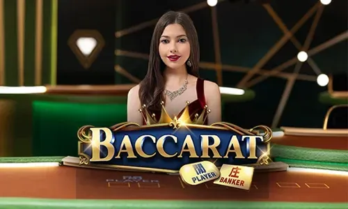 Thrilling Live Dealer Experience